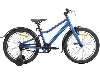 Велосипед Alpine Bike Pegas 1-20 (2026)