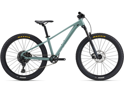 Велосипед Giant Liv STP 26 (2024)