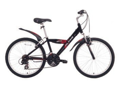 Велосипед Alpin Bike 550S (2008)