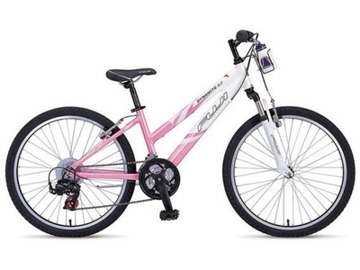 Велосипед Fuji Dynamite 2.0 girl (2008)