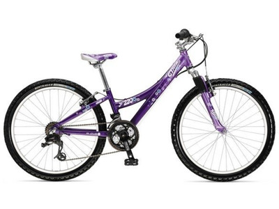 Велосипед Trek MT 220 Girl (2009)