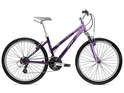 Велосипед Trek 820 WSD (2009)
