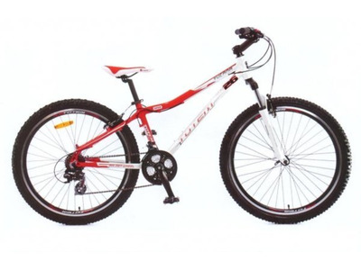 Велосипед Totem GW-09B213 (2010)