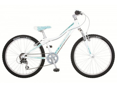 Велосипед Giant Areva 2 24 (2012)