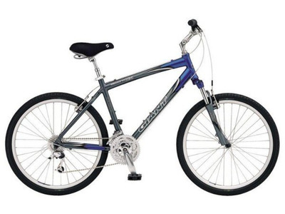 Велосипед Giant Sedona DX (2006)
