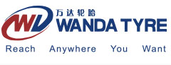 Камера Wanda 20ʺx1.95-2.125 A/V