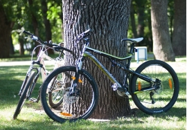 Велосипеды Silverback – технологии стремительной динамики