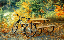 Почему ТО велосипеда лучше провести осенью, а не весной?